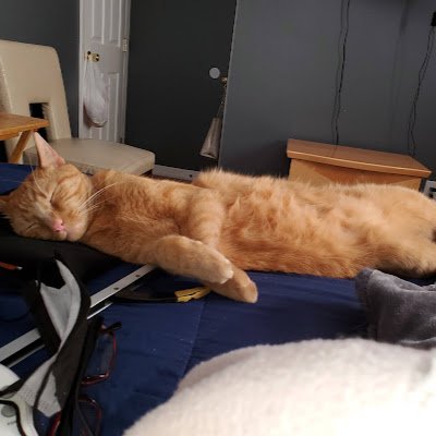 Michell02598961's profile picture. 