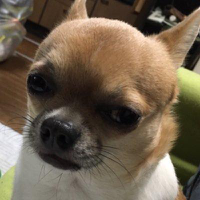 hiro08 (@hiro08gh) 's Twitter Profile