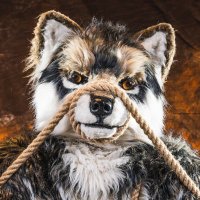 Bakus AnthroWolf (@bakuswolf) Twitter profile photo