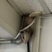Rally Possum (@mlbrallypossum) Twitter profile photo Rally Possum (@mlbrallypossum) Twitter profile photo