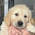 Magnus the magnificent - Teddy & ๐ Deefor ๐ (@centristdog) Twitter profile photo Magnus the magnificent - Teddy & ๐ Deefor ๐ (@centristdog) Twitter profile photo