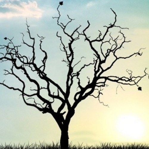 kimbo2110's profile picture. What is meant to be will be.