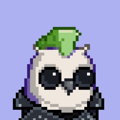 mederie777's profile picture. Abra Wallet, CryptoPERX. Discord, NFT