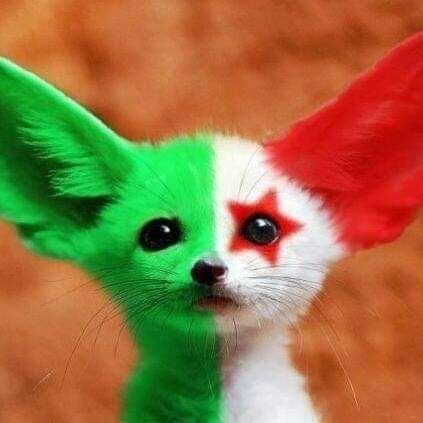 gw097300's profile picture. 