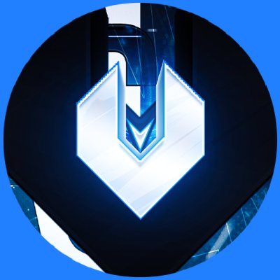 Semi-Pro Competitive Gaming & Content Organization 
EST. 2021 | #WeAreVersinal
@VersinalAcademy @VersinalUpdates
All Affiliates/Players Followed