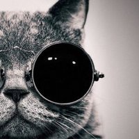 Jose (@danko7s) 's Twitter Profile