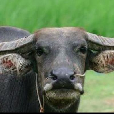 5HPQsgRC7xGewcY's profile picture. 