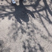 minorihon (@minorihon1) 's Twitter Profile