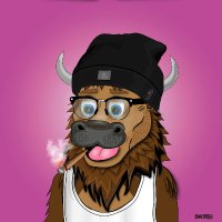 Bison Boy (@iamthebisonboy) 's Twitter Profile
