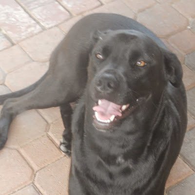 JackieMacGrego4's profile picture. 
