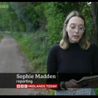Sophie Madden (@smadden_bbc) 's Twitter Profile