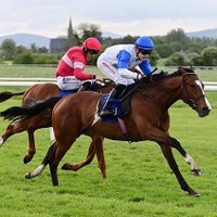 Ardmore Equine Nutrition Ltd (@ardmoreequine) 's Twitter Profile Photo Ardmore Equine Nutrition Ltd (@ardmoreequine) 's Twitter Profile Photo