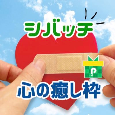 ポコちゃで、事務所ライバーしてるシバッチです。朝6時から8時 9時から13時15分、17時から19時に、配信しています🫡みんなを癒やせる枠にしたいです👍