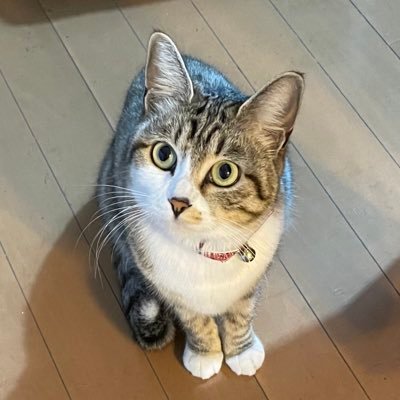 ジョン・Ｊさんのプロフィール画像