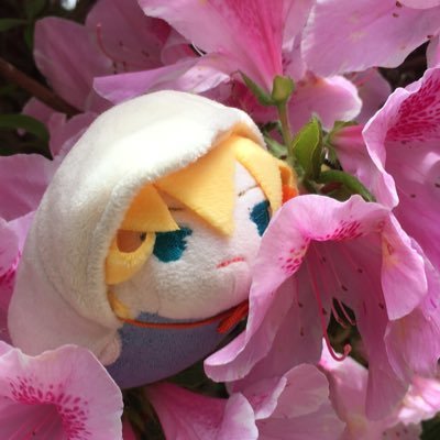 雨井さんのプロフィール画像
