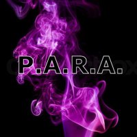 @PARAnomalyZ (@paranomalyz) 's Twitter Profile