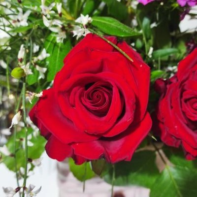 KLarissaIT's profile picture. @Atleta_Network
carpe diem