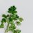Twitter result for Gardening Direct from garden__life
