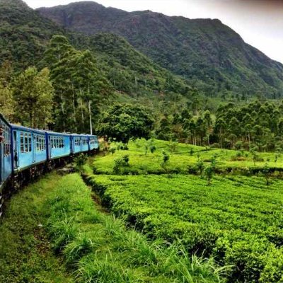 JaneGuitart's profile picture. Enginyer de Camins