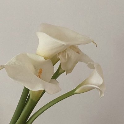 모든 사랑스러운 순간