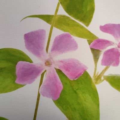 The Garden Pathway offers specialist projects of combined horticultural & psychological therapy to people with differing needs in Gloucestershire. Grow with us!