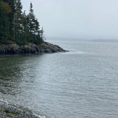 Maggieh16238880's profile picture. Political junkie, lover of fine wine, a little common sense goes a long way…