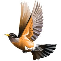 RobinWords (@robinwords) 's Twitter Profile