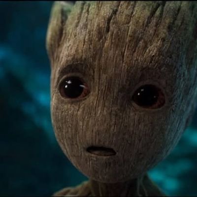 drewfash's profile picture. 