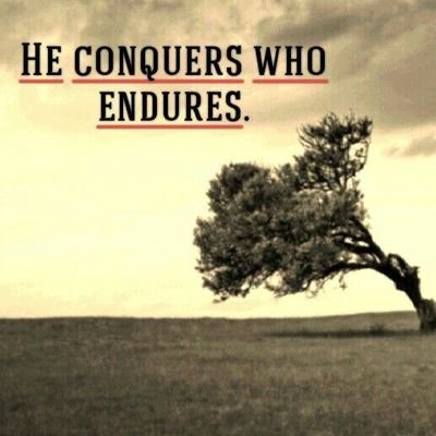 Cnwc6Cnwc's profile picture. 🏴󠁧󠁢󠁷󠁬󠁳󠁿
🇦🇷
🇺🇦