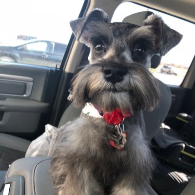 STo31173793's profile picture. 