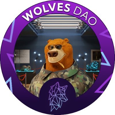 Cyber Wolf | Spearheading Application Development for @wolvesDAO | Equipping the blockchain gaming sector with key insights, education, and too