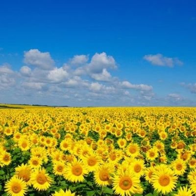 vadimcolumbus's profile picture. 