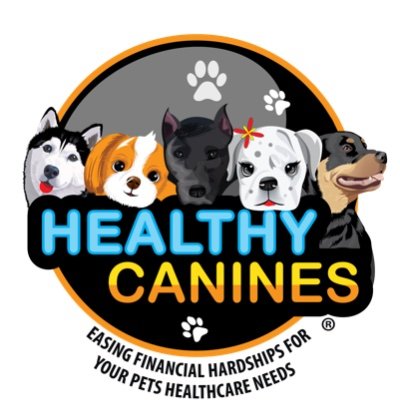 A 501c3 providing financial assistance to Georgia residents for their dog's veterinary care for an illness, injury, medication and medical equipment.🐾