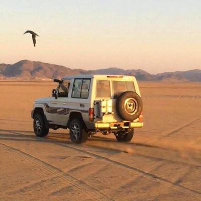 نحنُ لانخسر الأشيَاء إلاّحينما نُريدهَا بشدّة .