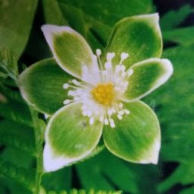 OJ4QrV4tg7kKPIp's profile picture. 