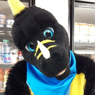 Friendly / Kind / 31 / Caring / BC4C fursuiter / Big Canadian Dwaggy Originally From Ontario But Now Living In Nova Scotia/ All Around A Swell Guy