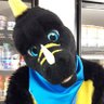 Arcotthedragon's profile picture. Friendly / Kind / 32 / Caring / BC4C fursuiter / Big Canadian Dwaggy Originally From Ontario But Now Living In Nova Scotia/ All Around A Swell Guy