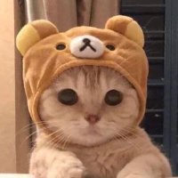 TBone (@wagginthetail) 's Twitter Profile Photo