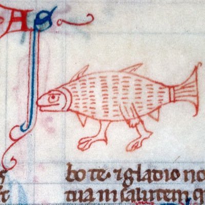 Salviaht's profile picture. she/they | russianist ➡️ goldsmith | thot for пипи пупу | #mmiw