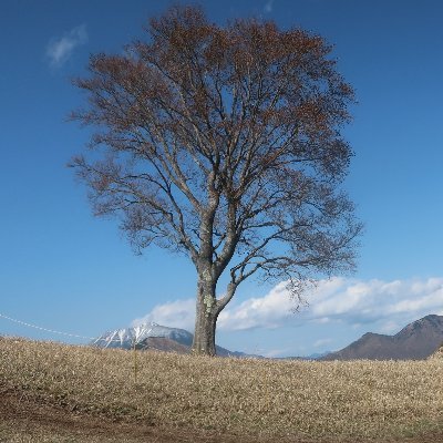 株用本アカにしました🎶
★ザラバ録画をYou TubeにUPしてデイトレの練習中😁
板読み・テクニカル分析練習用動画アップ
★スイング、職場スマホデイトレ😃
★お気軽に絡んで下さい🙇