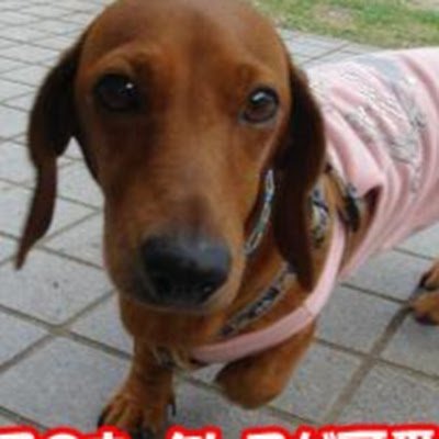 kazu38170217's profile picture. 