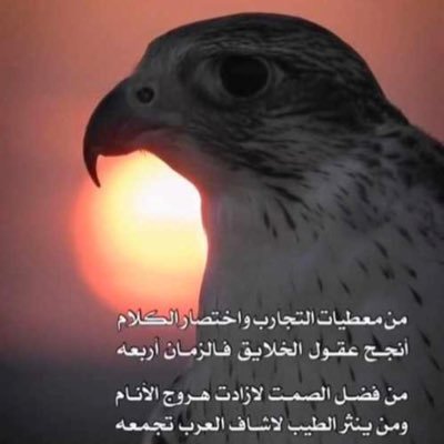 salh89169249's profile picture. 