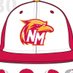 NMJC Thunderbird Baseball (@NMJC_BSB) Twitter profile photo