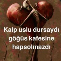Yalın Kaplan (@kaplanyalin06) 's Twitter Profile