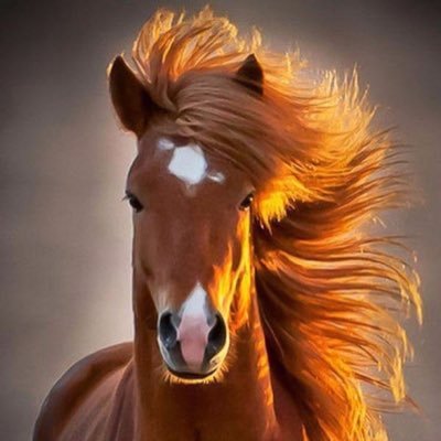 ahwak_g's profile picture. ּحۡــڛۜــٰا̍ب ̨ﯣهــمۭــۑْۧ