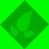 kamal_tejnani's profile picture. 
