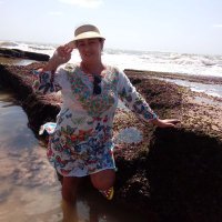 josefajo (@e_josefa) 's Twitter Profile