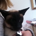 Anna Wheeler - @solomon1122 - Twitter