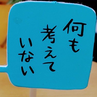 hatori2929's profile picture. 身内用