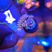 JC Reef (@jc_reeftank) Twitter profile photo JC Reef (@jc_reeftank) Twitter profile photo